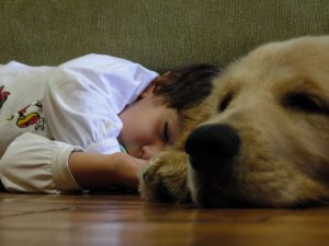 Barn och hund